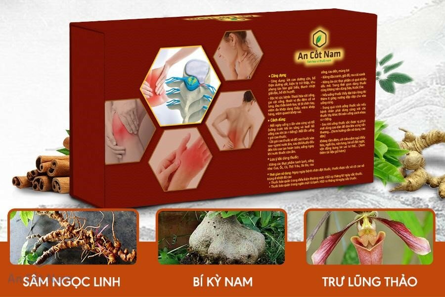 Bài thuốc An Cốt Nam chữa dứt điểm đau lưng